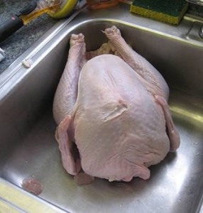 raw-turkey-2