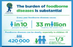infogrpahic_global_en