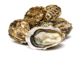oysters-small