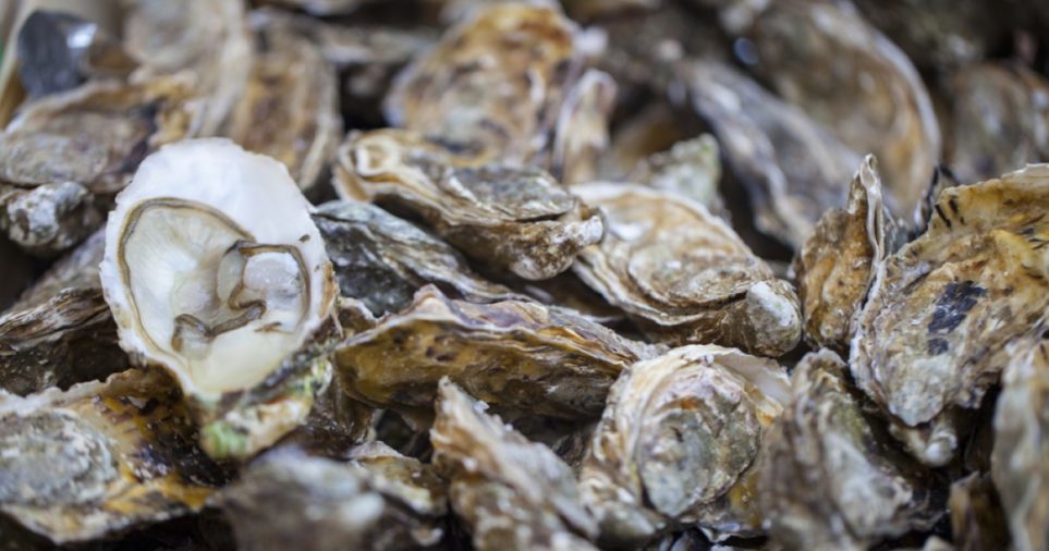 279 Canadian Norovirus cases linked to British Columbia Raw Oysters