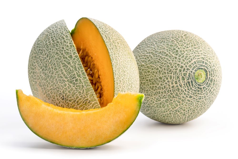 Cantaloupe1