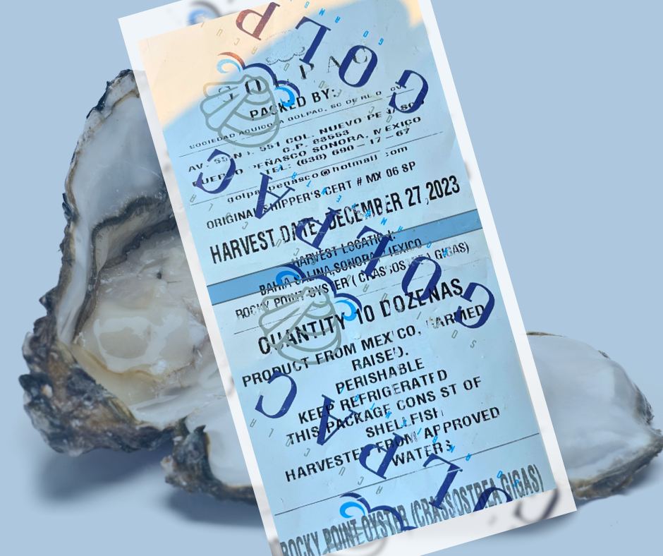 Oyster-Art-1